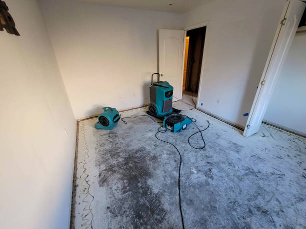 Best Flood damage cleanup  in Westwego, LA