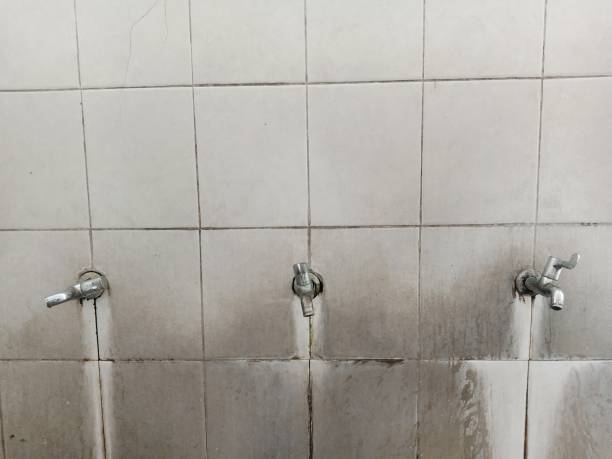 Water damage restoration process in Westwego, LA