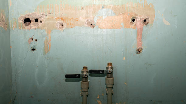 Best Water damage restoration services  in Westwego, LA